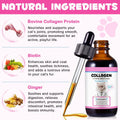 Collagen for Cats, Skin and Coat Supplement for Cats, Itch Relief, Immunity Support, Joint Health, Supplement 60ml (2 Fl Oz), Liquid Collagen Drops for Dogs