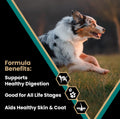 VICTOR Select Dry Dog Food - Ocean Fish Formula with Salmon Kibble, 40 lb