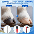 8 Pcs Goat Hoof Trimming, Livestock Sling Hoof Nipper Rasp Trimmer