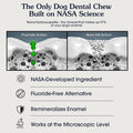 Arterra Dental Chews for Dogs (M-XL) with Nano-Nydroxyapatite 14 Count