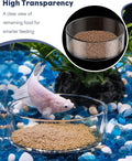 Pawfly 3 Pcs Shrimp Feeding Dish, Clear Glass Aquarium Shrimp Feeder, Transparent Food Tray for Fish Tanks and Terrarium