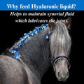 SU-PER Hyaluronic Supplement for Horses, Gallon Liquid