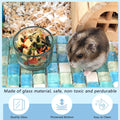 2 Pcs Hamster Food and Water Bowl Glass Anti-Turning Transparent Dish for Hamster and Other Small Pet