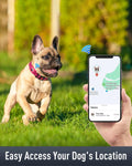 Reflective Dog Collar for Small Dogs with Silicone Tag Holder