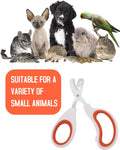 Stainless Steel Bearded Dragon Nail Clippers,Lizard Nail Clippers,Bearded Dragon Supplies,Bearded Dragon Nail Scissors f