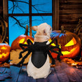 Halloween Spider Costume for Dog Cat, Halloween Pet Costume Halloween Decorations, Spider Decor Halloween Party Supply, 