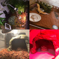 BNOSDM Reptile Hideout,Tortoise Hide Cave,Resin Rock,Bearded Dragon Hideaway,Turtle Basking Platform,Reptiles Habitat De