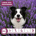 Fenbendazole for Dogs 22.2% (222 mg/g), Large Dog Dewormer Powder, 4g x 30 Packets, Broad-Spectrum Canine Dewormer for R