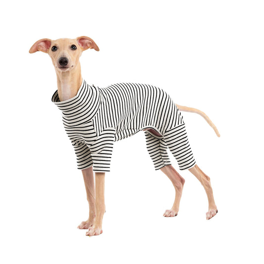 Dog Sweaters for Small Dogs Girls Boys, Striped Pet Sweaters for Fall Winter Dog Clothes, Turtleneck Pullover Knitwear for Small Medium Large Dogs