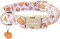 Faygarsle Cute Pink Fall Dog Collar Pumpkin and Leaves Pattern for Autumn