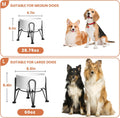 Kitwinney Elevated Dog Bowls, Ceramic Raised Dog Bowl Set with Anti-Slip and Non-Tip Metal Stand, 2 Pack Pet Food and Water Feeding Bowls for Small and Medium Dogs (White,3.6 Cups)