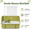 Automatic Bird Bath with Pump