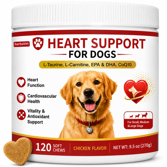 Taurine for Dogs, Heart Support Supplement, Antioxidant - Rich L-Taurine, L-Carnitine, EPA & DHA, CoQ10, Supports Cardiovascular Wellness, Circulation & Heart Function – 120 Chicken Flavour Soft Chews