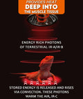 80W Deep Heat Infrared Projector Lamp for Reptiles, Emits Infrared A & B Wavelengths, Reptiles Basking Light Heat Lamp B