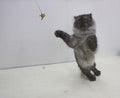 Cat Dancer 101 Cat Dancer Interactive Cat Toy, 3 Pack