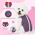 Surgery Suit for Female Dog After Spaying with Back Zipper