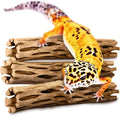 SunGrow Leopard Gecko Cholla Wood, 5 Inches Long, Create Basking Spot, Artistic Home-Decor, Lizards and Bearded Dragons,
