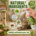 Catnip Spray for Cats – 100% Natural Catnip Spray, Boosts Playfulness & Helps Reduce Stress, Refreshes Toys, Encourages 