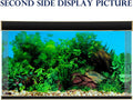 ELEBOX Fish Tank Stickers Wallpaper Seaweed Background Aquarium Background Decoration Water Plants Fish Tank Background 
