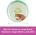 Kaytee Silent Spinner Wheel For Pet Syrian or Large Breed Hamsters, Sugar Gliders and Gerbils, Large 10 Inch (Colors May