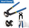 64 Pcs Farrier Tools Kit