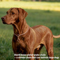 Heavy Duty Dog Choke Collar Slip Dog P Chain Snake Collar Plating Anti-Rust Dog Training Collars for Small Large Dogs Bl
