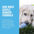 KONG Puppy, Natural Rubber Teething Chew Toy, for Small Puppies