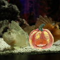 LIOOBO Fish Shrimp Hideout House Thanksgiving Fish Tank Aquarium Decor Pumpkin House Cave Betta Toys Thanksgiving Day De