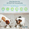 Lickable Cat Probiotic Treats, Daily Gut Health Digestive Immune Support
