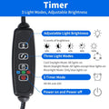 AQUANEAT LED Aquarium Light for 12 Inch Fish Tank, Auto On Off with Timer, Full Spectrum, Adjustable Brightness, Dayligh