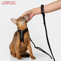 Escape Proof Y Shape Cat Harness Anti-Choke