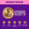 Wellness Appetizing Entrées Mousse Adult Wet Cat Food, Natural, Protein Rich, Grain Free, Chicken Recipe, 1.4 oz, Pack of 8 Pouches