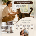 Cat Dewormer, Fenbendazole 222mg/g Safe for use in Kittens and Cats 50 Tabs