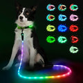 YFbrite 6Ft Light Up Dog Leash, LED & Rechargeable USB-C, 15 Flashing Modes, Waterproof Reflective Dog Leash for Night W