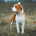 Choke Collar for Dogs,Chain Martingale Dog Training Pulling Collar(Skull L)