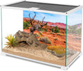 48x20 in Reptile Habitat Backdrop Blue Sky Oasis Desert Terrarium Backdrop