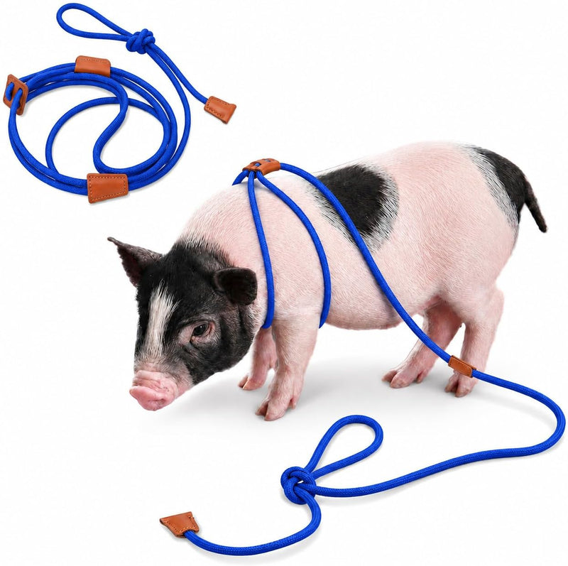 Pig Harness & Leash, Escape Prevention Adjustable Rope, All in One Design, All Life Stages Small to Medium Mini Pigs-5 F