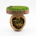 Handmade Natural Walnut Shell Jumping Spider Hide - Magnetic Spider Enclosure Accessories with Sturdy Neodymium Magnets,