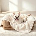 LOOBANI Waterproof Dog Blanket for Small Dogs, Pet Blanket, 25"x30", Cream