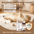 Tapeworm Dewormer for Cats and Kittens – Liquid Cat Dewormer for Tapeworms