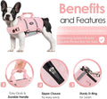 AOFITEE Dog Life Jacket High Buoyancy Small Dog Life Vest for Swimming, S