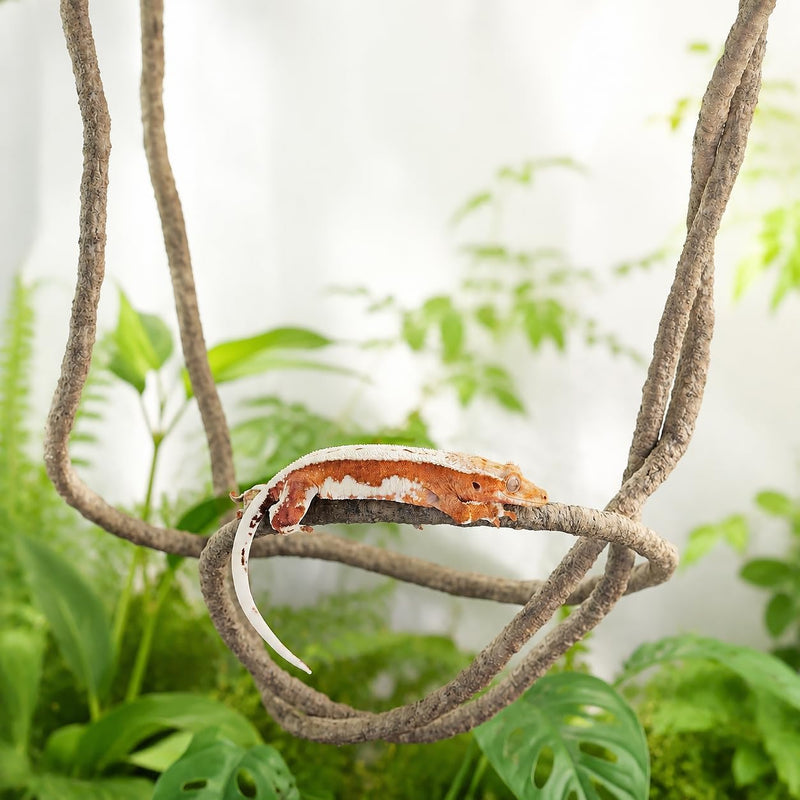 8-Foot Reptile Vines, Flexible Jungle Climber Habitat Decor