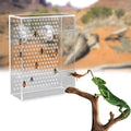 Bearded Dragon Feeder, Chameleon Bug Bowl, Transparentk Acrylic Reptile Feeder Box, Wall-Mounted Insect Food Dish with S