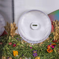 Niteangel Accurately Hamster Wheel Pedometer: 9-Day Continuous Data Records