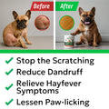 BARK&SPARK Dog Allergy Relief Soft Chews for Skin Health & Seasonal Allergies - Anti-Itch Supplement w/Omega-3, Quercetin & Bromelain Immune Treats for Dry Skin & Hot Spots - BBQ Chicken - 60ct
