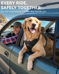 Joytale 3-in-1 Bungee Dog Seat Belt for Car, Medium and Large Dogs