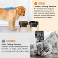 SPUNKYJUNKY Ceramic Elevated Dog Bowls 2 Pack - 6.1inch Raised Dog Bowls with Non-Slip Wooden Stand for Medium Dogs Dish