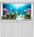 48x18 in Underwater Aquarium Backdrop Tropical Coral Fish Tank Background