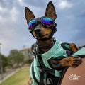 K9 Sport Sack Plus 2 - Medium, Summer Mint
