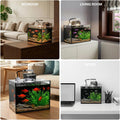 1.8 Gallon Fish Tank with Light,Filter,Lid,Landscape Accessories